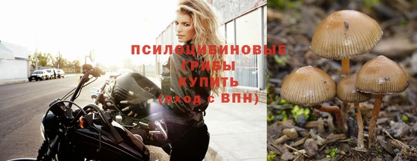 спиды Абаза