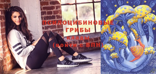 спиды Абаза